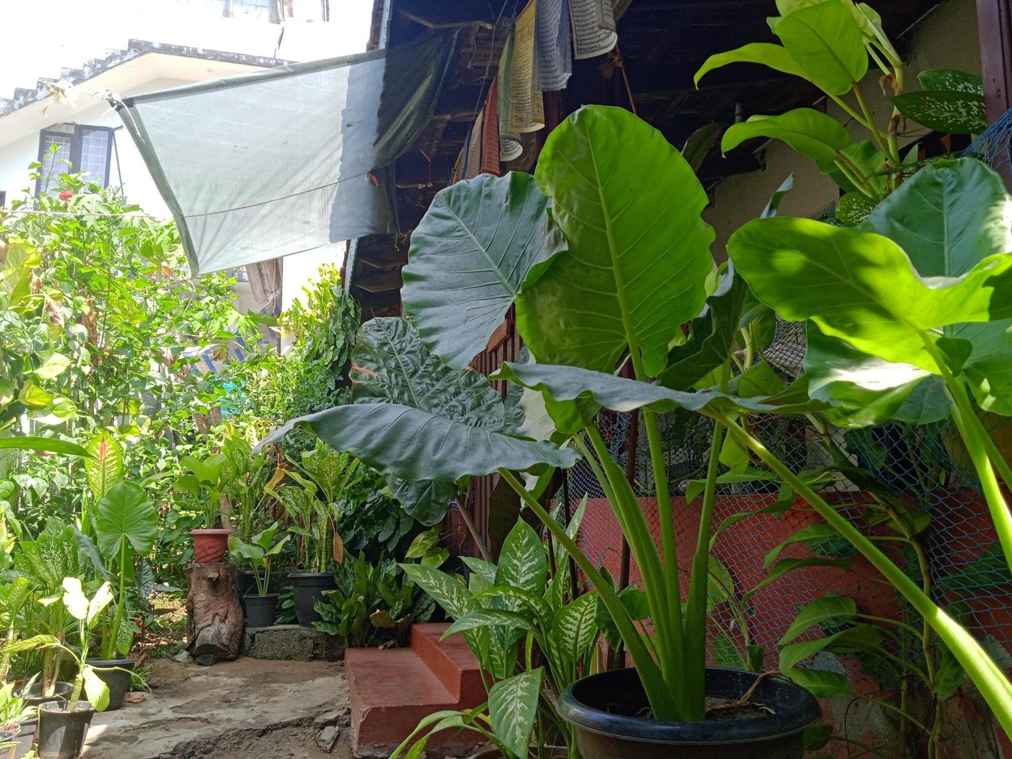 Alappuzha The Blues酒店 外观 照片