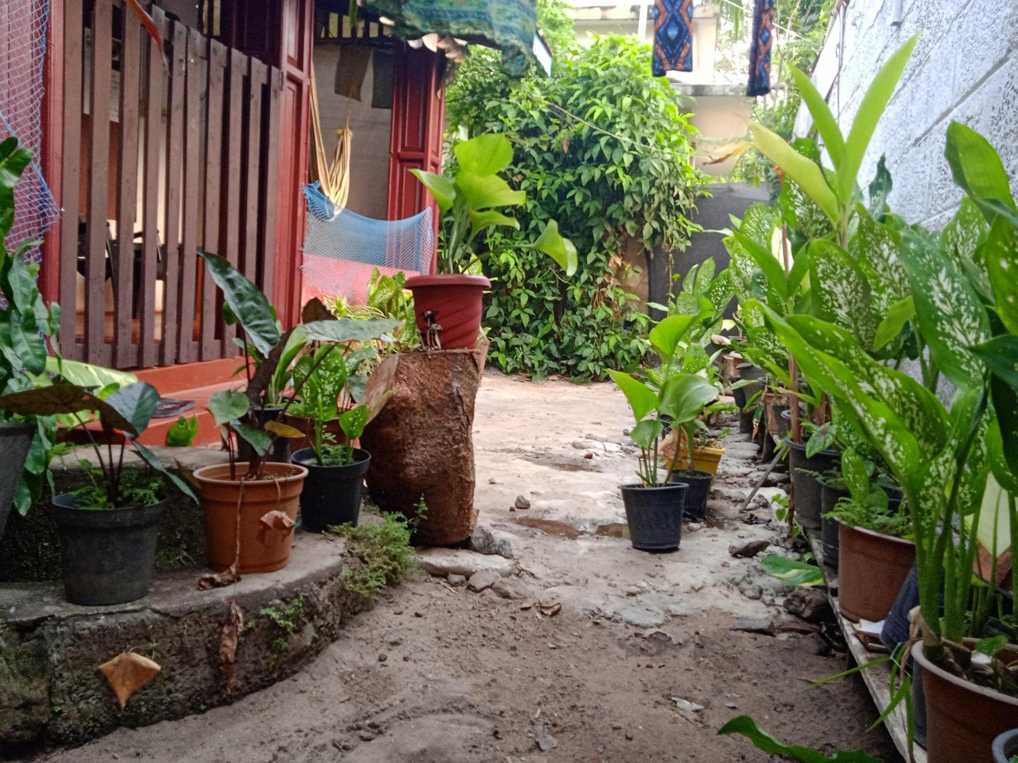 Alappuzha The Blues酒店 外观 照片
