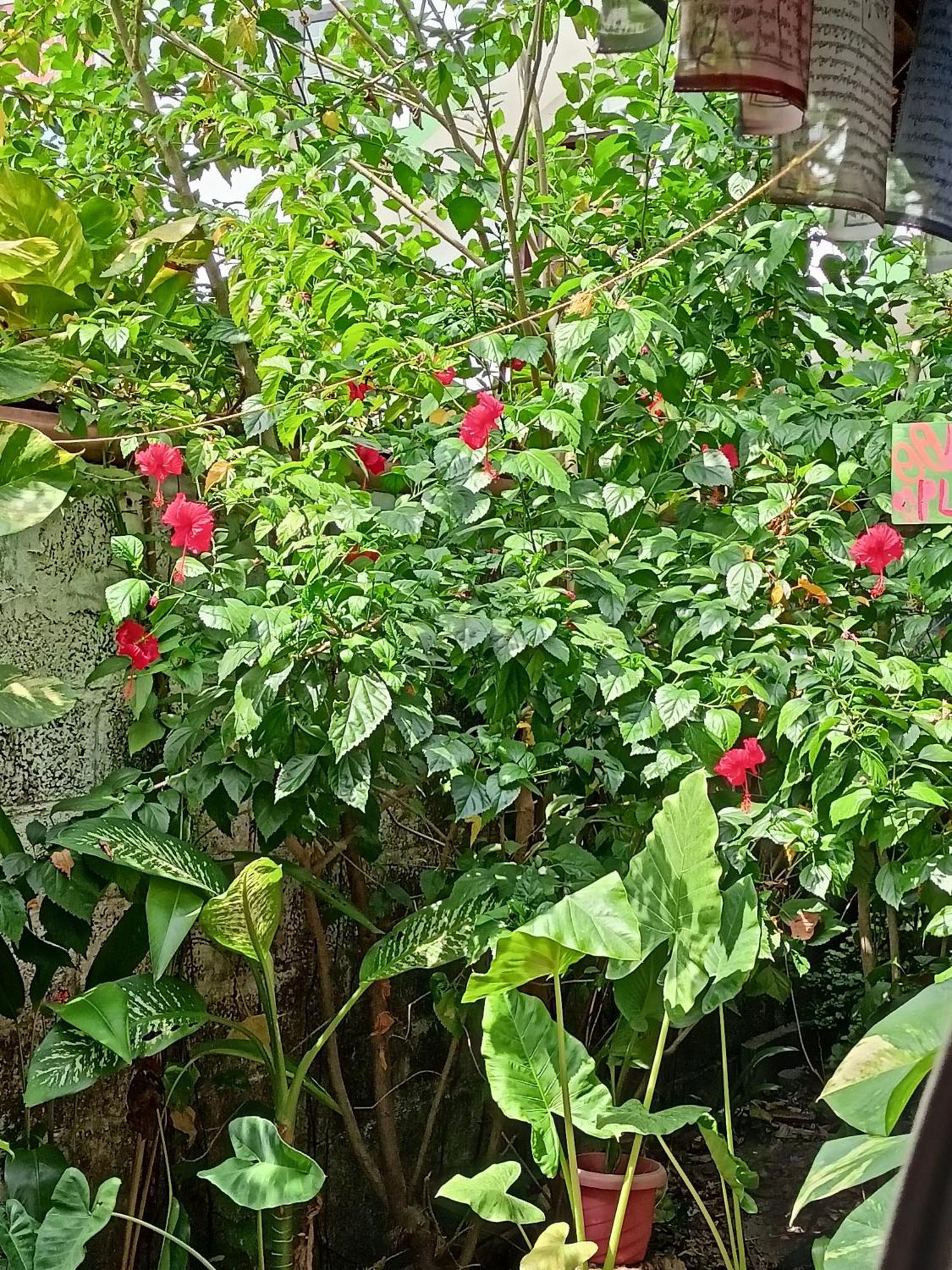 Alappuzha The Blues酒店 外观 照片