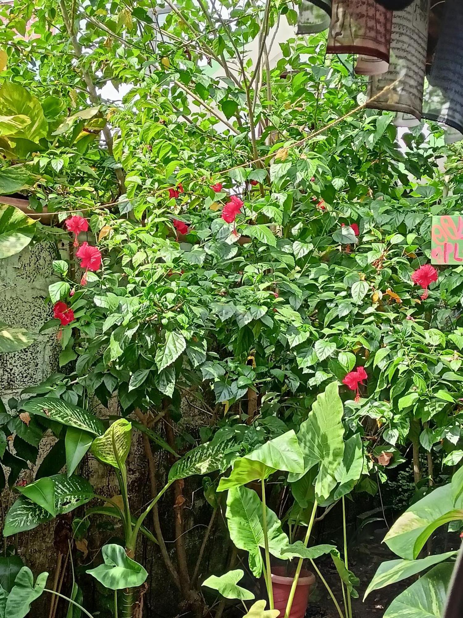 Alappuzha The Blues酒店 外观 照片